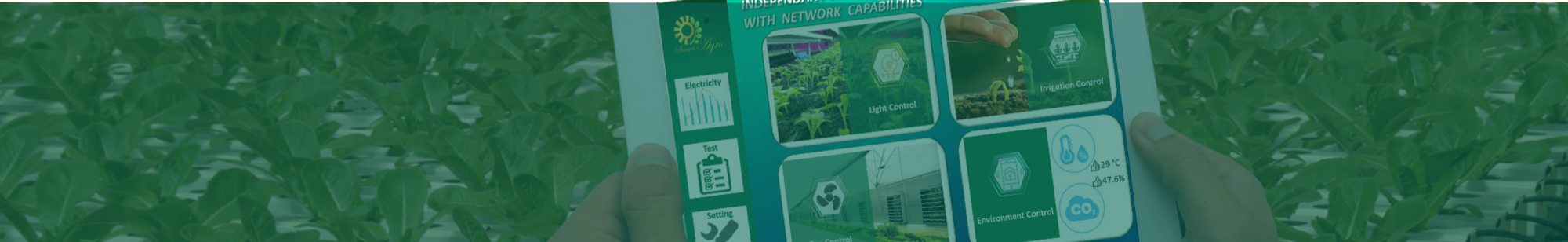 Our Services Banner